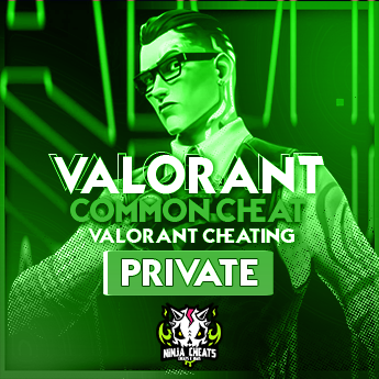 01-valorant-private